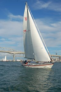 blog sailing on the waitemata.png